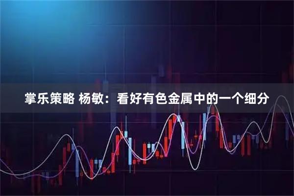 掌乐策略 杨敏：看好有色金属中的一个细分